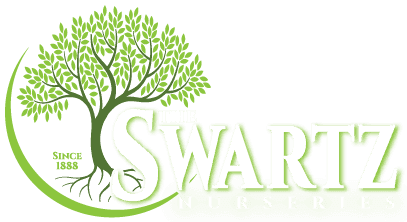 Swartz Nurseries