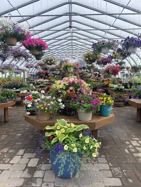 Swedberg Nursery Inc