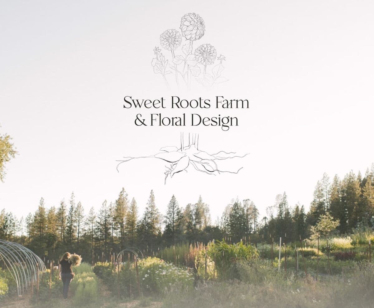 Sweet Roots Farm