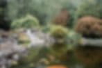 Swimming Flowers Fishery, llc South Jersey's Premier Fishery