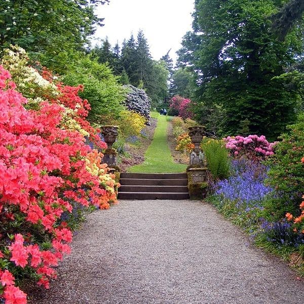 Swissmont Nursery, LLC