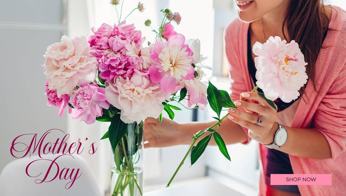 Sylvan Grace Florist
