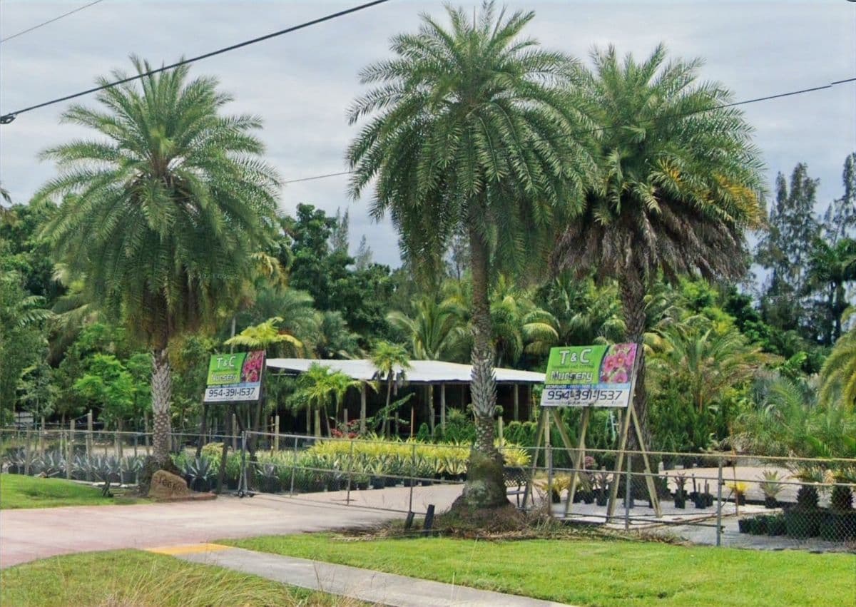 T & C Trimming and Cutting Nursery