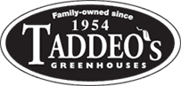 Taddeo's Greenhouses