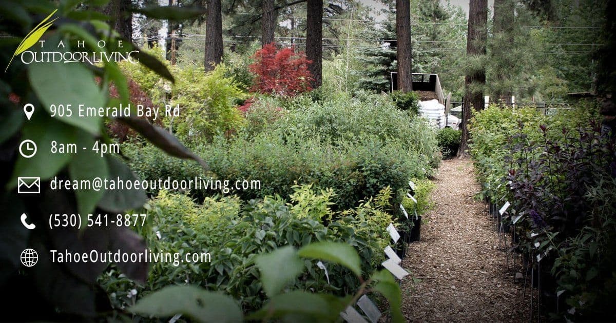 Tahoe Outdoor Living Nursery