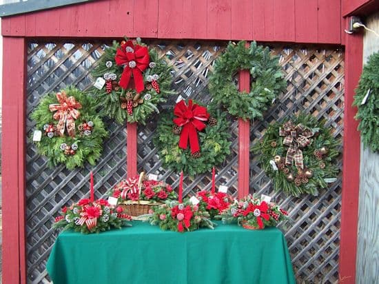 Tait Farm Christmas Trees