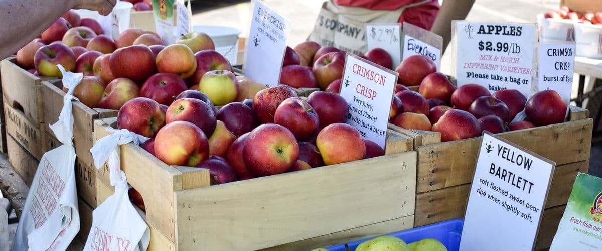 Takoma Park Farmers Market