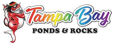 Tampa Bay Ponds & Rocks