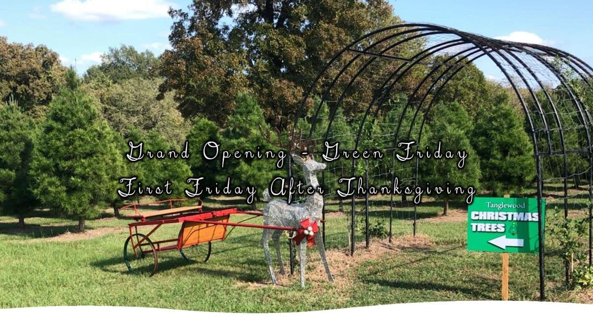 Tanglewood Christmas Trees, LLC