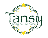 Tansy
