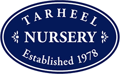 Tarheel Nursery