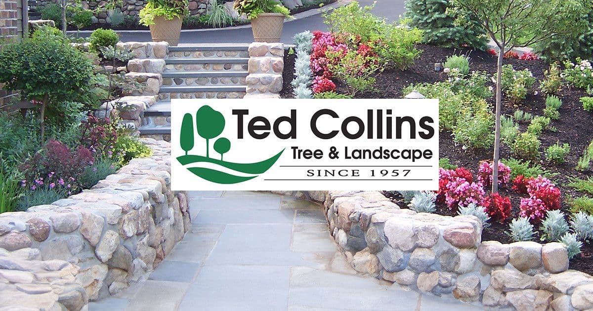 Ted Collins Tree & Landscape