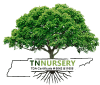 Tennessee Wholesale Nursery
