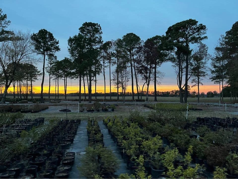 Terra Cottage Farm Nursery