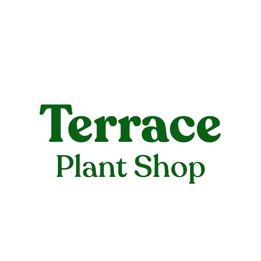 Terrace Plant Shop
