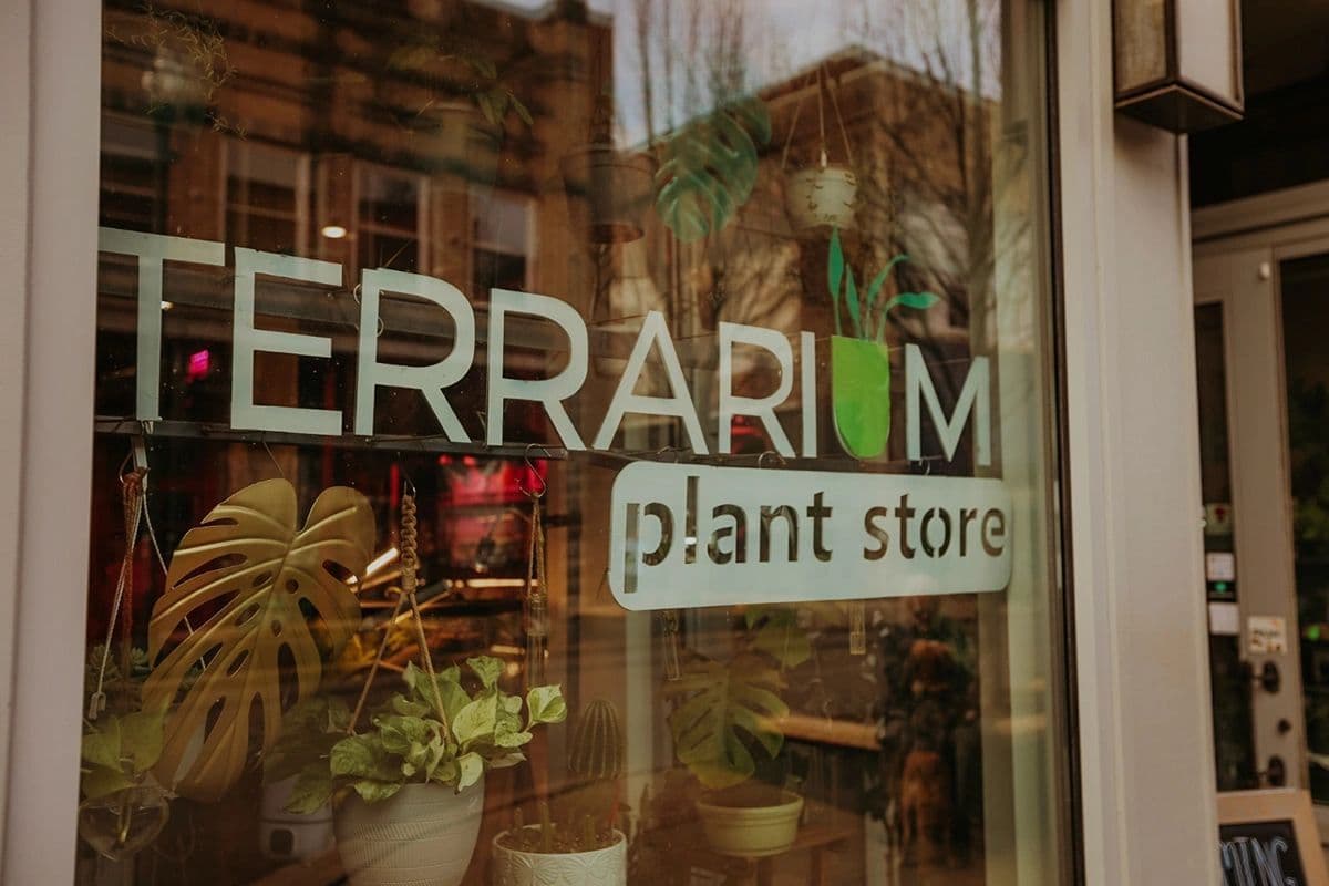 Terrarium Plant Store