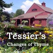 Tessier's Changes of Thyme