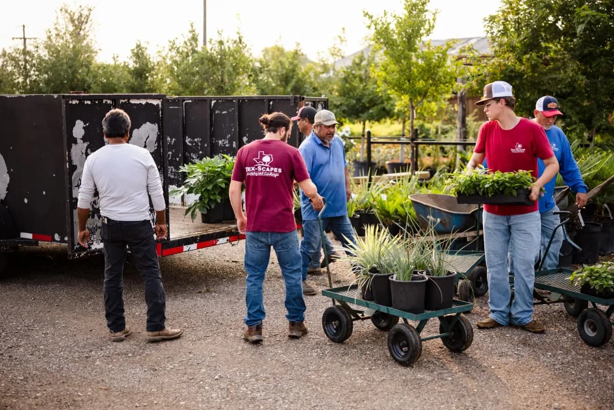 Tex-Scapes Nursery and Landscape
