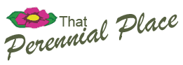 That Perennial Place