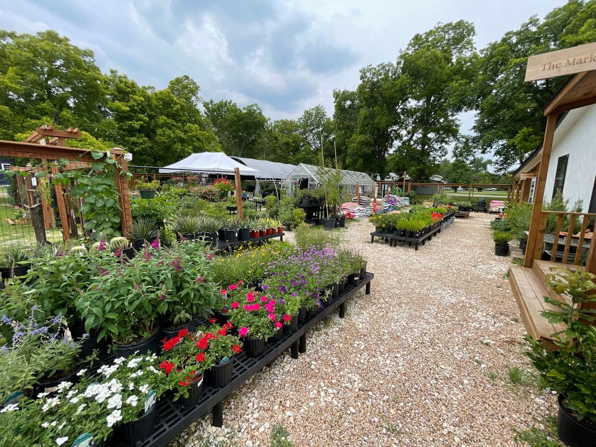 The 5th Street Market & Nursery