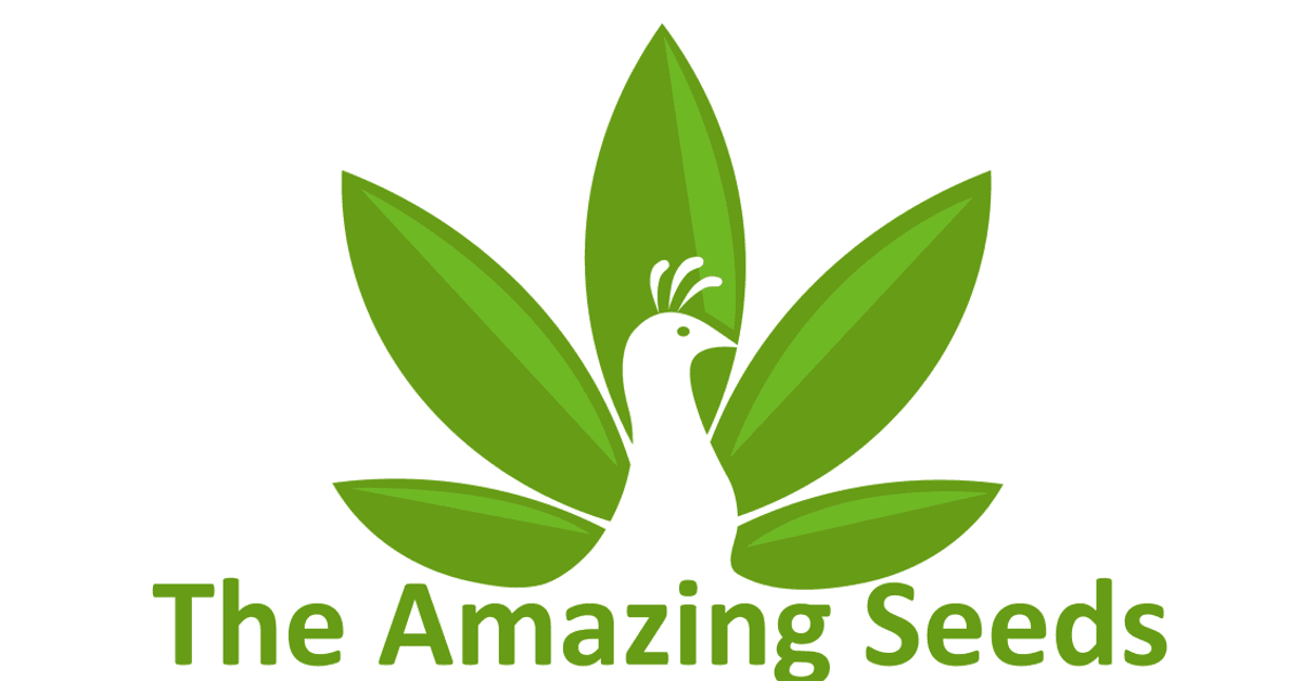The Amazing Seeds and Plants