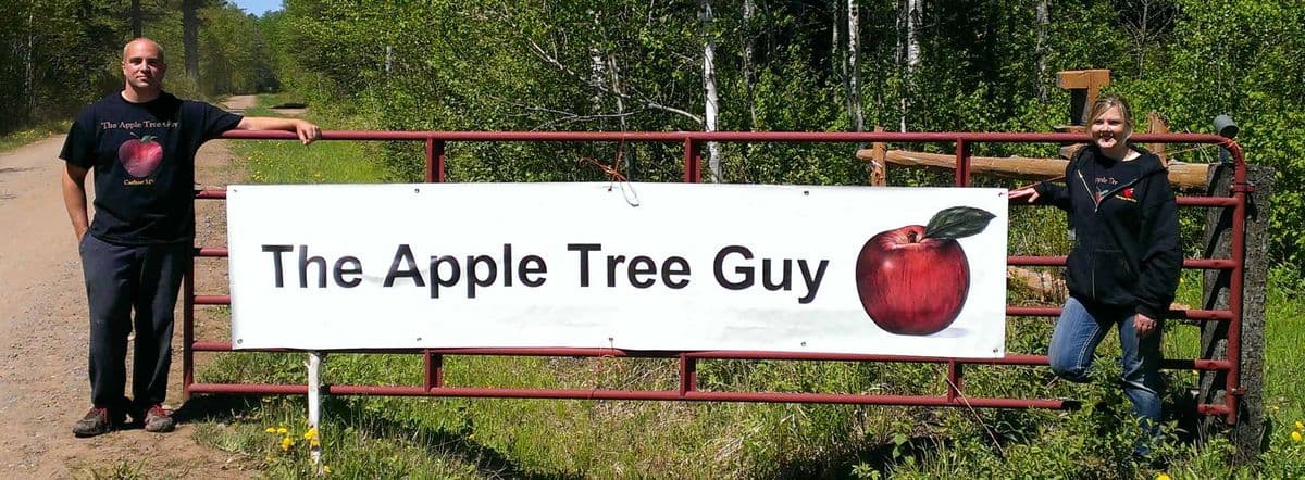 The Apple Tree Guy