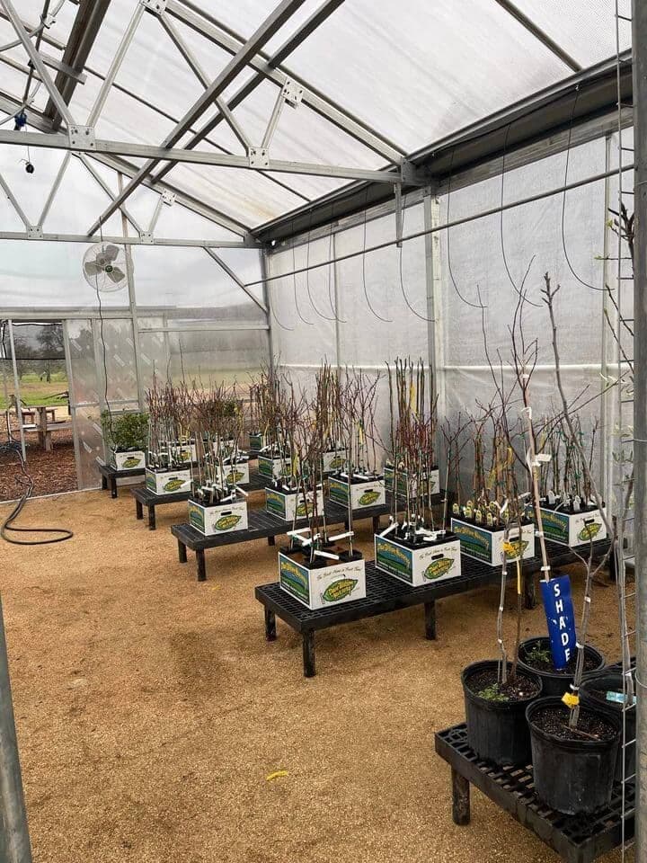 The B Haus Marketplace & Nursery