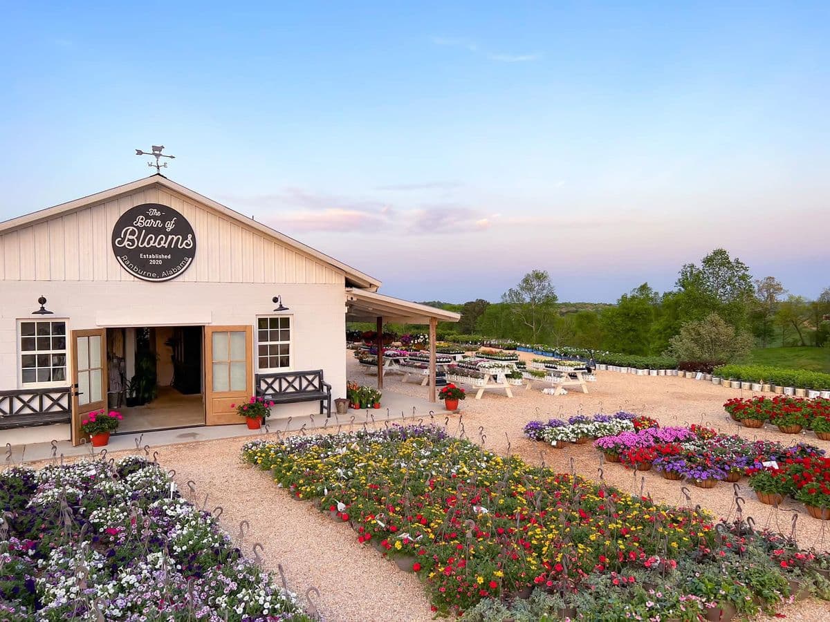 The Barn of Blooms