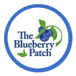The Blueberry Patch