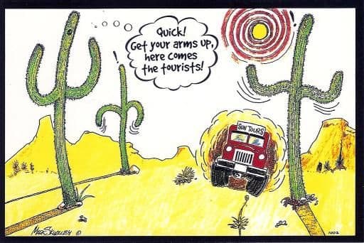The Cactus King