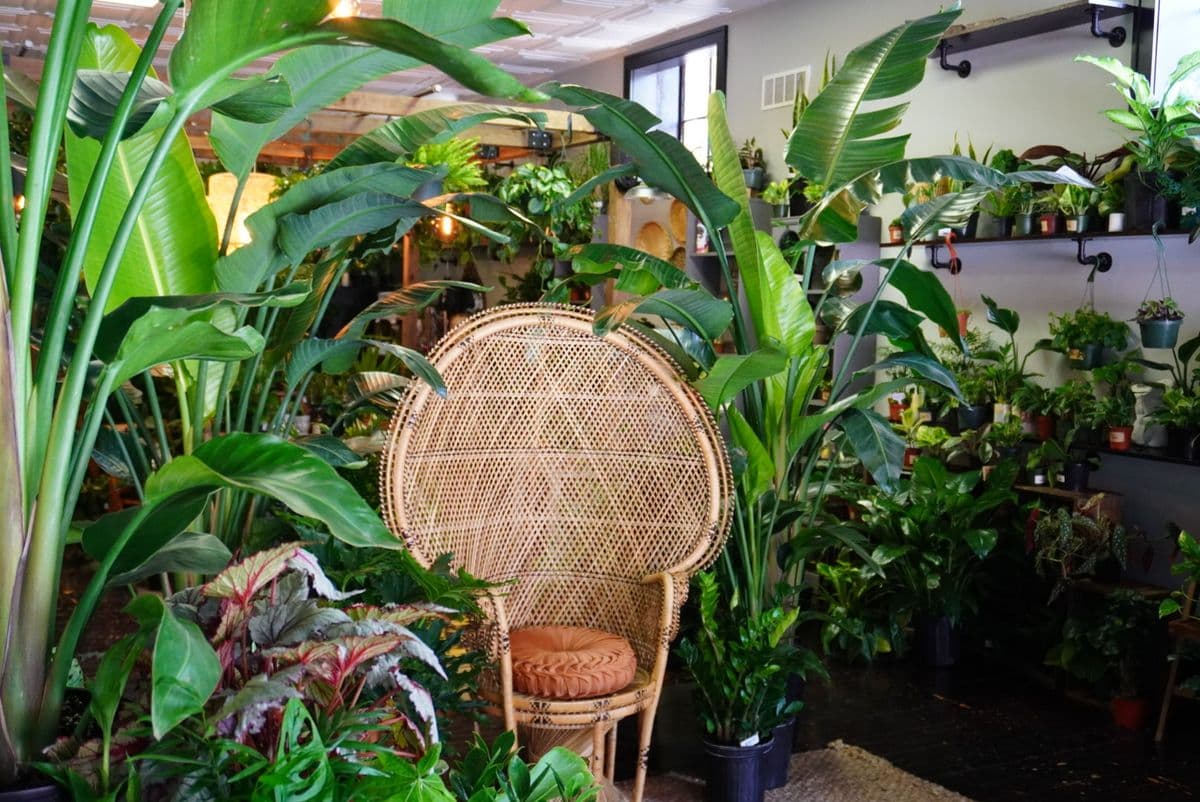 The Conservatory