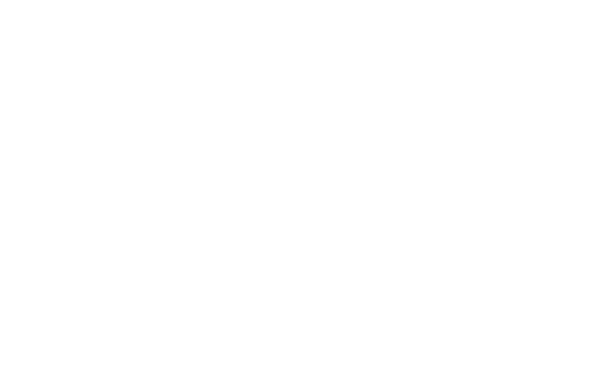 The Fabulous Flower Market