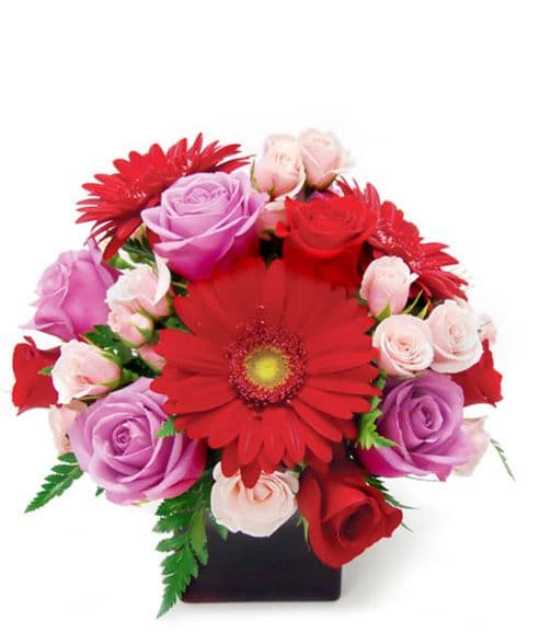 The Flower Warehouse