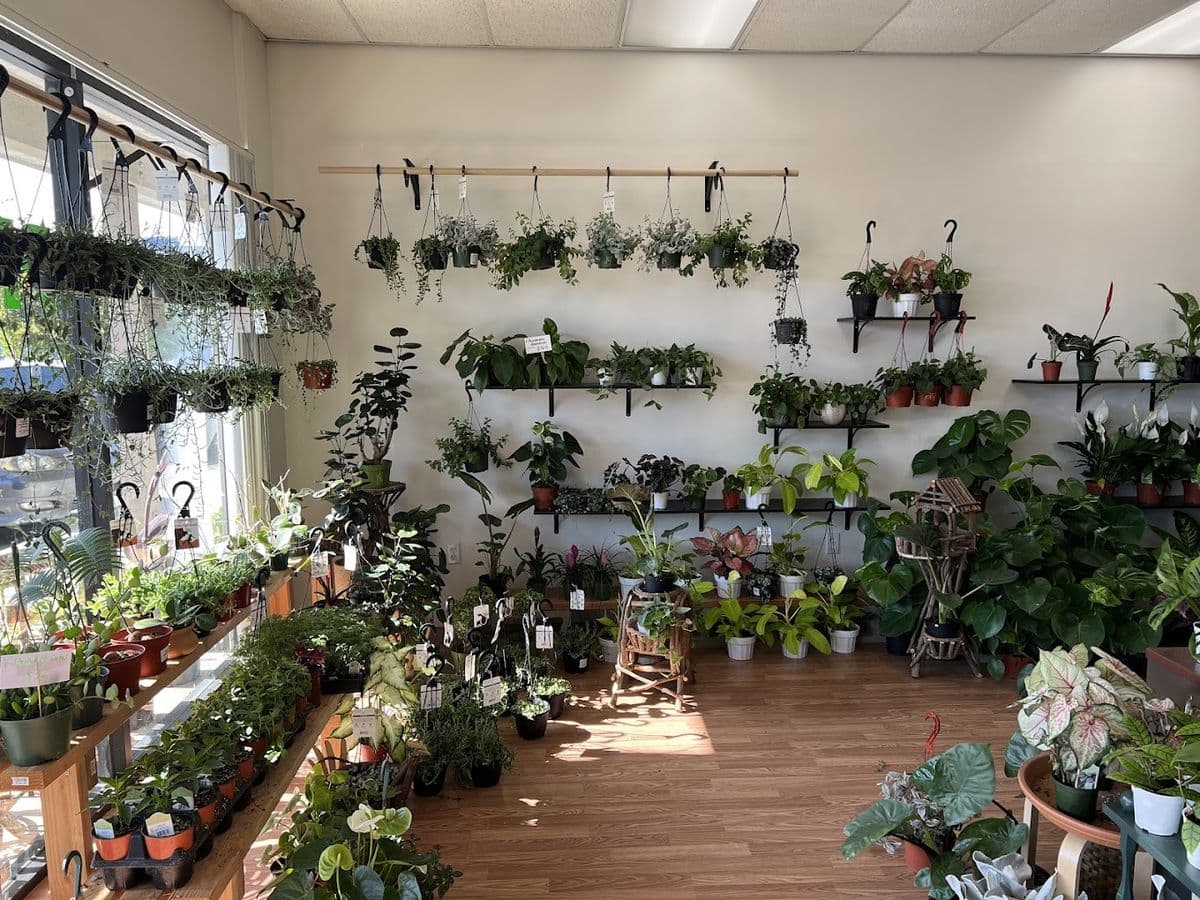 The Foliage Room