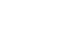The Fresh Flower Market
