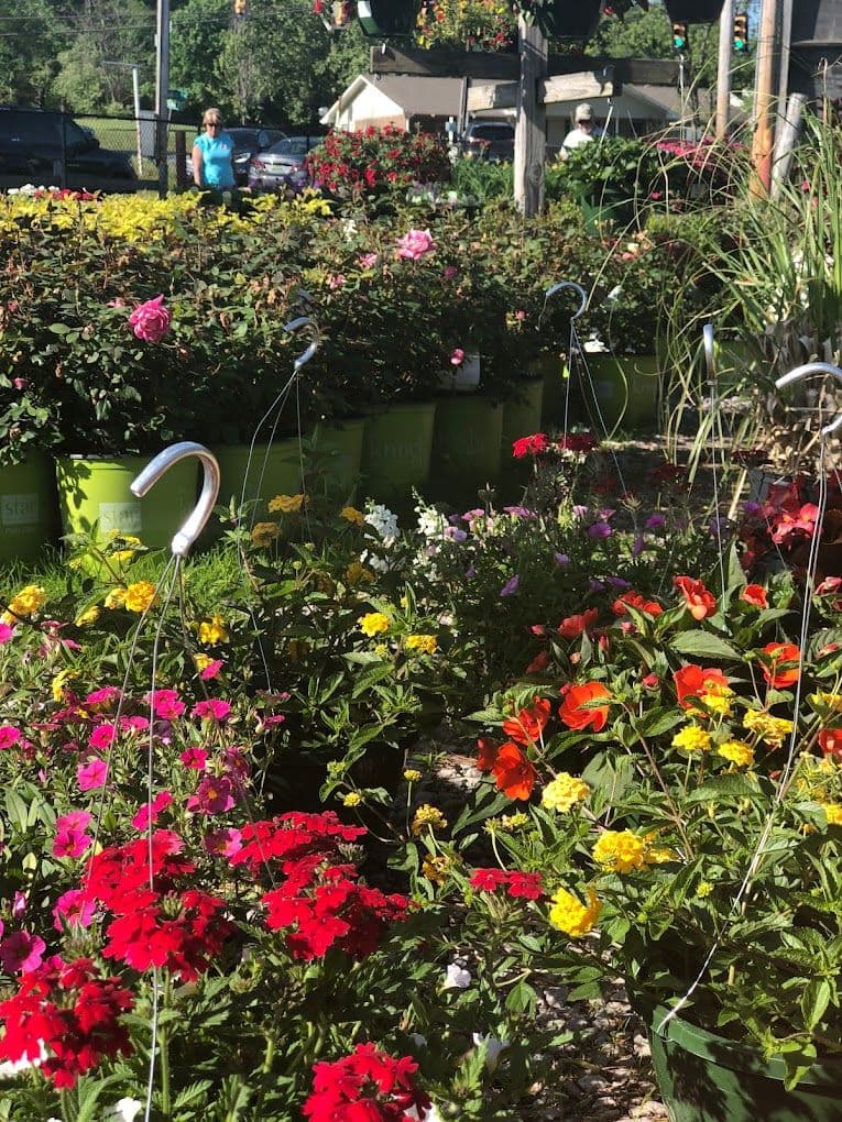 The Garden