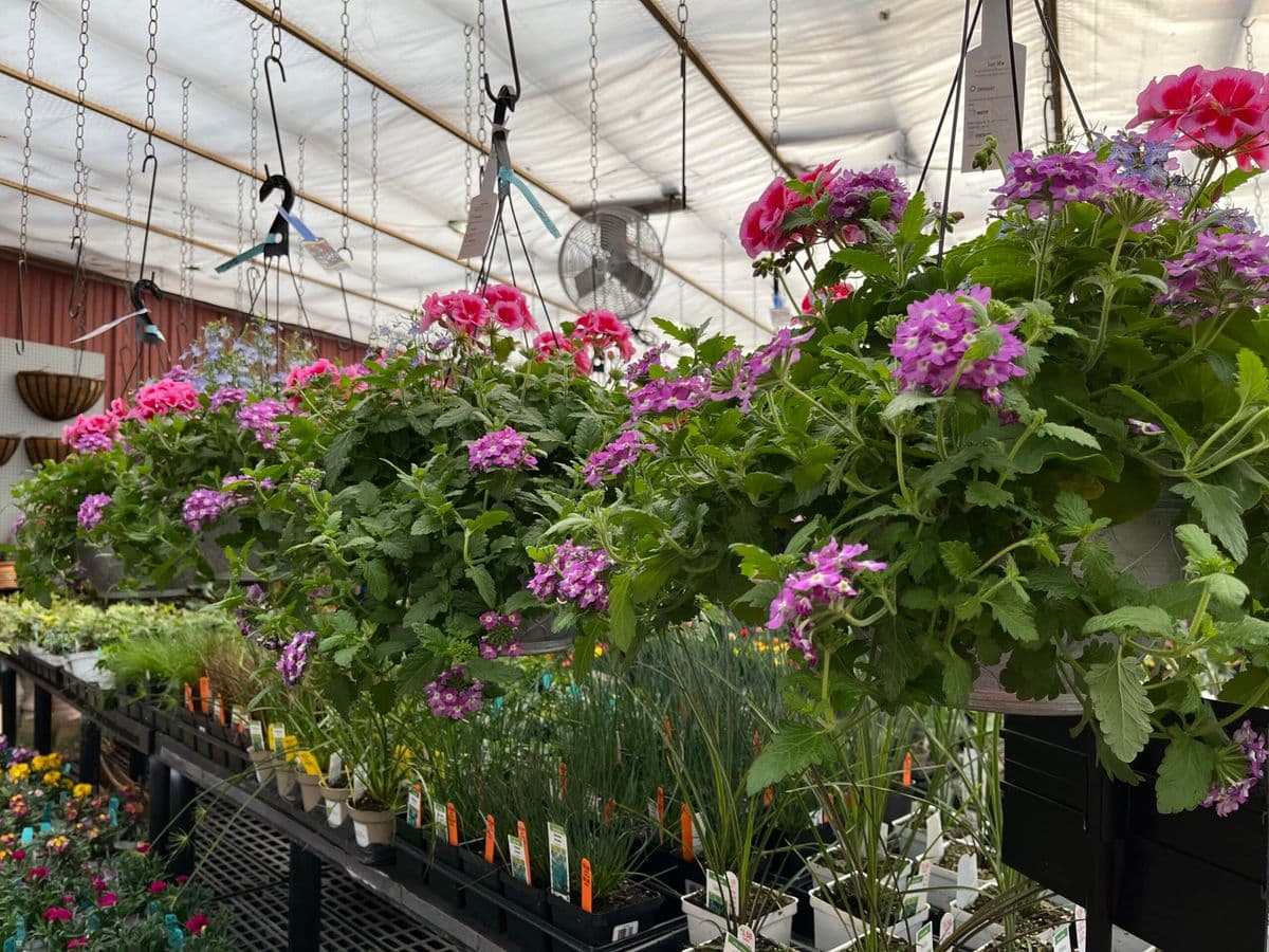 The Garden Center at Cherry Hill Orchards