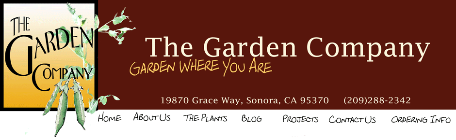 The Garden Company