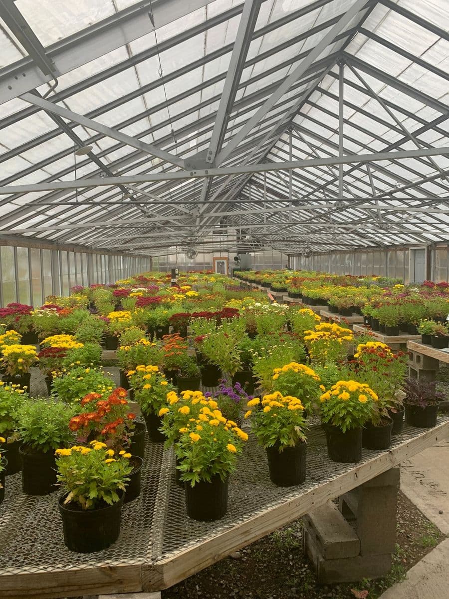 The Garden Shop