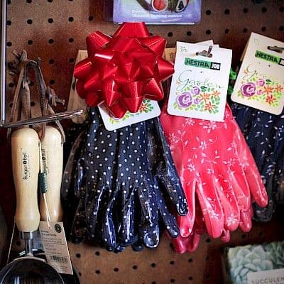 The Garden Store at Mendocino Coast Botanical Garden