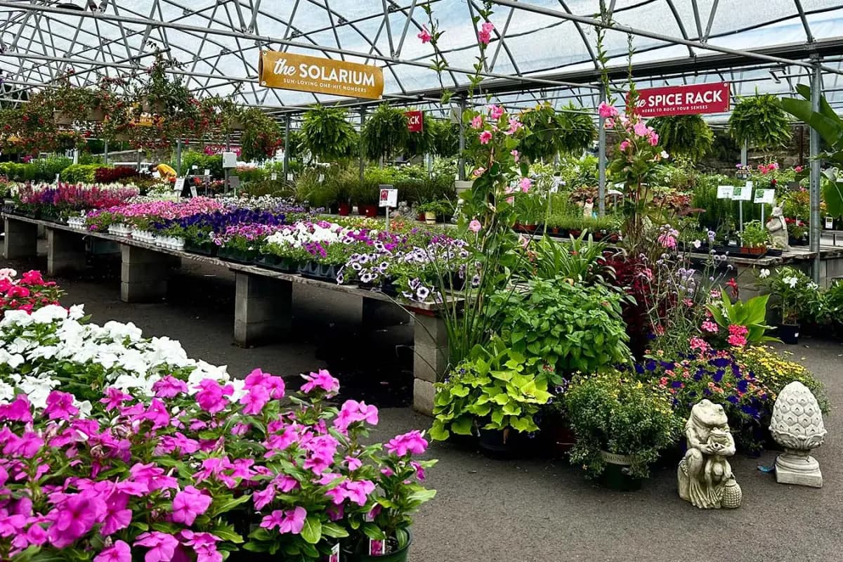 The Gardener's Center