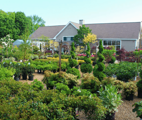 The Gardeners' Choice