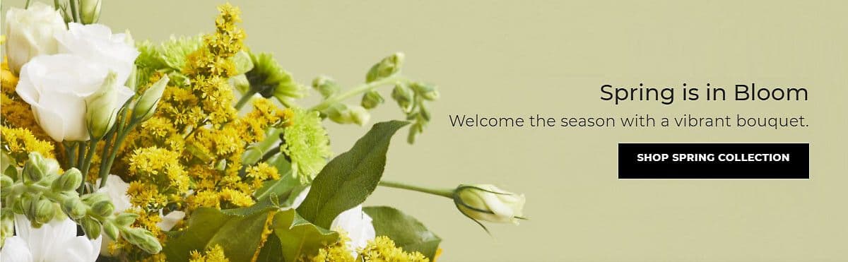 The Gift Shoppe + Flowers