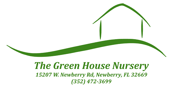 The Green House Nursery