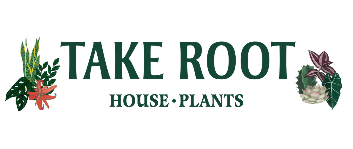 The Green Room by Take Root