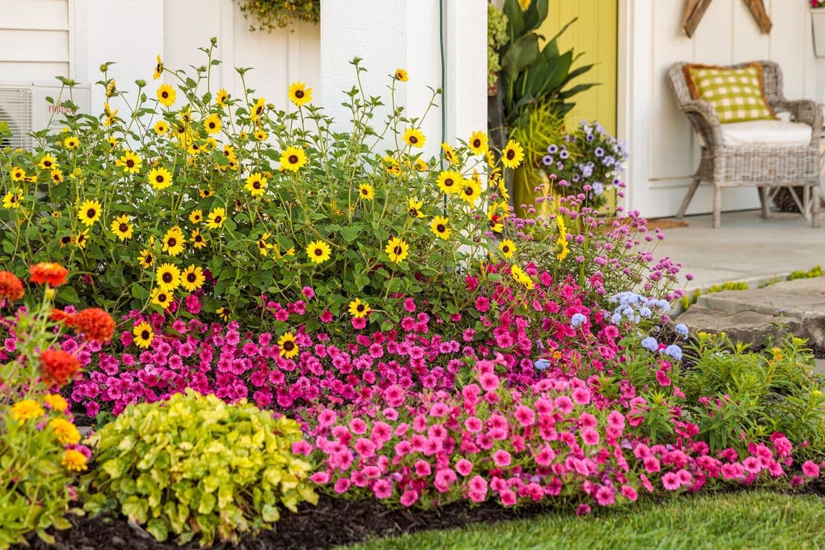 The Greenhouse Garden Center