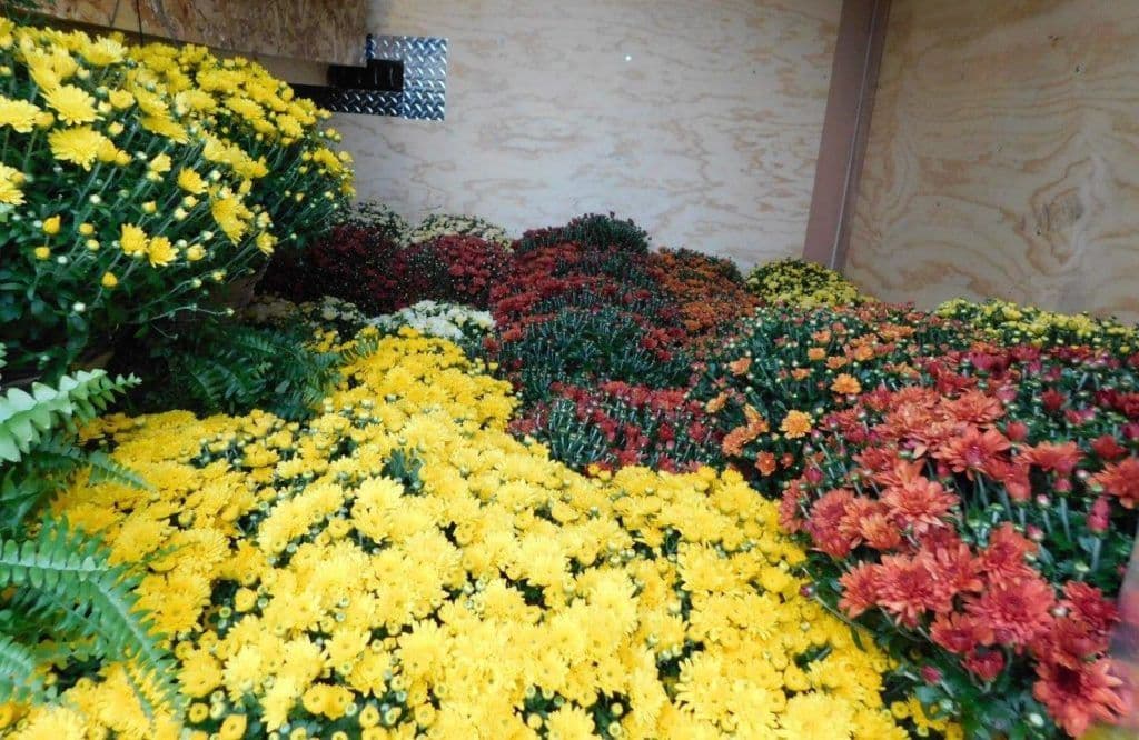 The Grower's Sanctuary