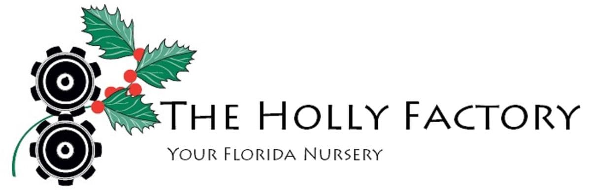 The Holly Factory