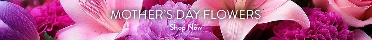 The Ivy Shop