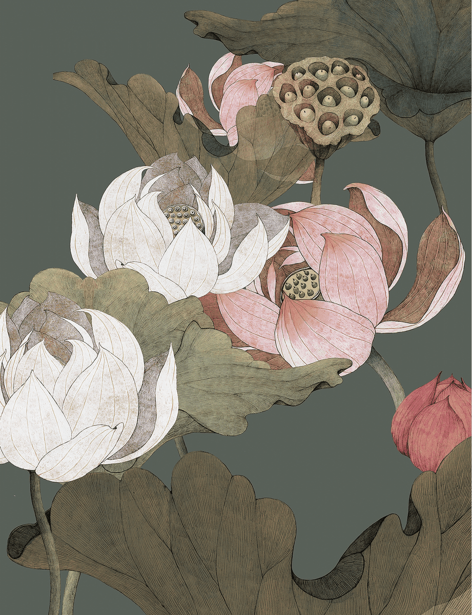 The Last Lotus